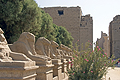 Link to Karnak Temple