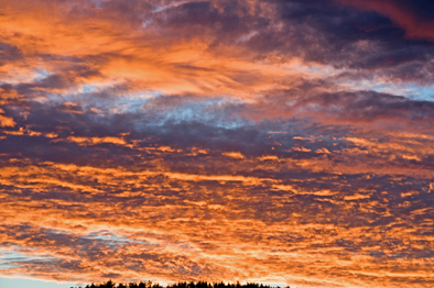 Summer evening in August 2015