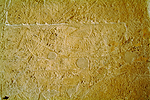 Nile boat in wall relief in Segenemib-mehu tomb