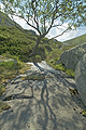  Blackburn Glen Muick Scotland SM6246JHP