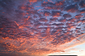 Autumn Dawn Aberdeenshire SO10441JHP 