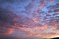 Scottish Autumn Sunrise SO10444JHP 