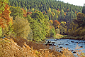  Paradise Autumn Woods River Don SO11535JHP