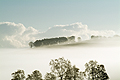  Scottish Autumn Mists SO13207JHP