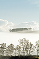  Autumn Mists Scotland SO13208JHP