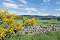  Rural Deeside Raemoir Banchory SO49001JHP