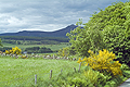 Link to Donside