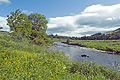  River Deveron Aberdeenshire SO5551JHP