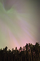SOaunv14JH Corona over Forest