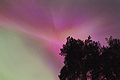 SOaunv21JH Corona over Forest