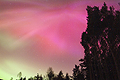 SOaunv31JH Corona over Forest