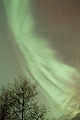 SOauoc9bJH Corona Wings in Wind