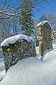 Snow at Auchindour St Marys Kirk TO17211JHP