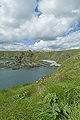 Whinnyfold Buchan Coast TO18005JHP 