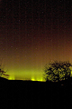 TO24005JH Aurora Rays Active