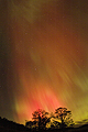 TO24036JH Aurora on Wane