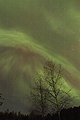 TO24103 Faint Corona Zenith