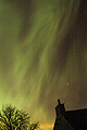 TO24112JH Corona Rays to East