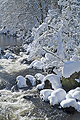 Link to Seasons