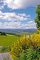 Link to Aberdeenshire Galleries