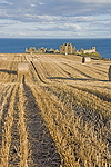 Dunnottar Castle in rural setting during Scottish harvest