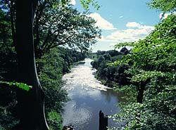 Scenic view of River Don Cothall near Dyce in Aberdeenshire
