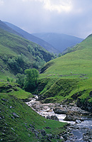 Scottish atmosphere in Glen Tilt near Braemar