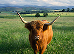 My Girlfriends Photo near River Dee