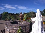 Striking photographic study of the Elgin Biblical Garden