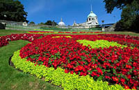  Close up photograph of Union Terrace Gardens Bon Accord Floral Display