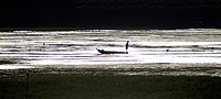 River Nile Cruise telephoto study