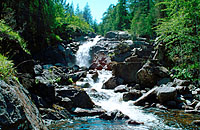 Falls of Muick near Ballater Summer Photo