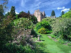 Glorious rich summer photo of Crathes Castles Camel Garden